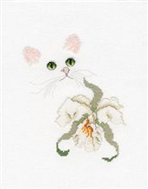 Orchid Cat