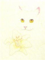 Cats & Flowers #4