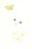 Cats & Flowers #3