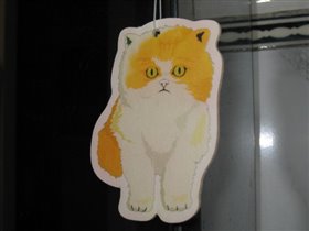 Кэтс-кондишн