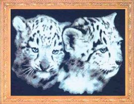 KK-Baby Snow Leopards DAW-004