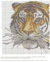 Тигр схема-1