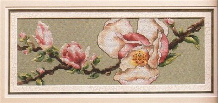 041 - Sweet magnolia blossom