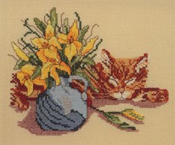 Canterbury Des. Brandon