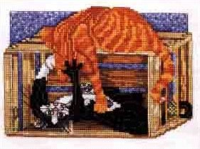 Pegasus Boxing Match