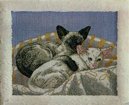 Siamese Cats II