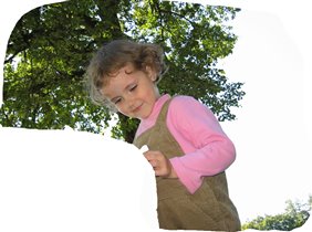 под сенью дуба...