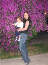 Море цветов,