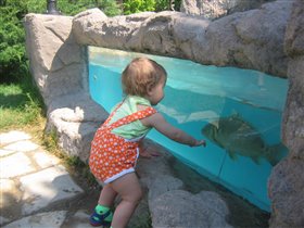 Хорошее время для рыбалки!