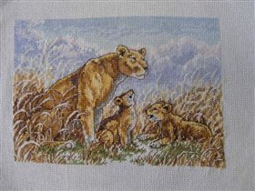 Львиная семья от Дим-са