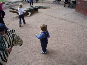 Игровая площадка в зоопарке (маленькая)