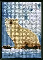 Forever Wild - Polar Bear