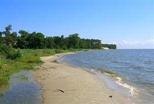 Побережье Куршского залива