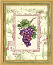 DIM 06888 Grapes on Vine