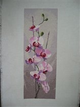 Heritage - Orchid