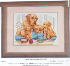 Golden Labrador Family - Anchor