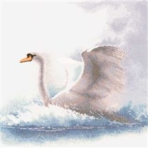 Лебедь на взлете