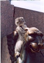 Верхом на льве