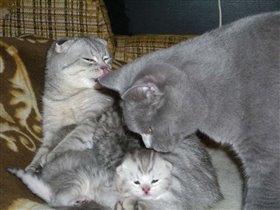 две мамочки