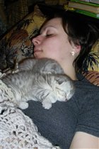 сонное царство