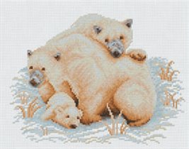 24-R Polar Bears