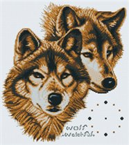 16-H Watchful Wolves