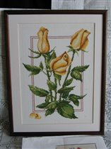 желтые розы