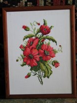 полевые цветы