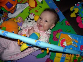 хитрюга лиса