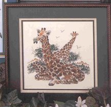 13. SC On The Wild Side