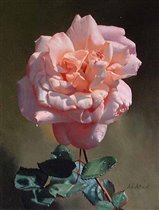 Classic Cross Stitch - fr 255 Pink rose