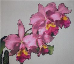 ГК 288 Орхидея