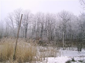 Зимнее озеро (вид с другой стороны)