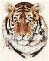 075. Тигр