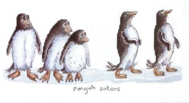 Penguin Suitors