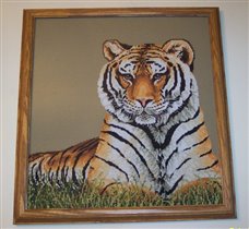 Resting Tiger - Janlynn
