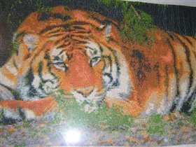 Тигр под елью