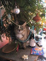 Новогодняя Аришка-именинница