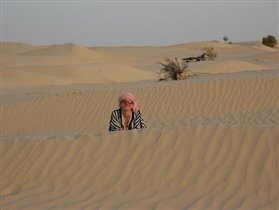 Пески Сахары