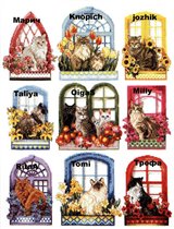 Распределение кошечек