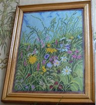 Луговые цветы