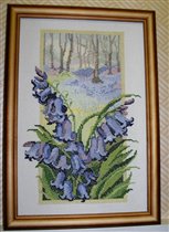 Колокольчики