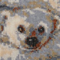 Почти Умка (фрагмент)