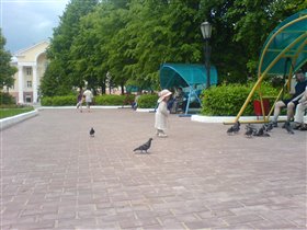 Гоняем голубей в Дорохово