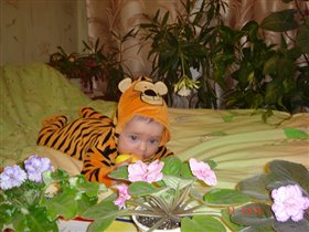 Маленькая тигра
