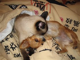 Хэппи и Сандра