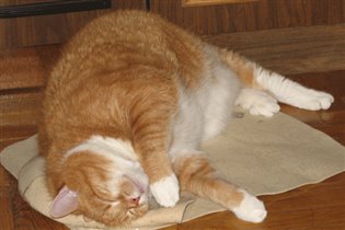 В баню бы сейчас...