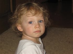 полтора года