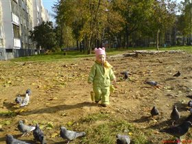 Кариша с голубями