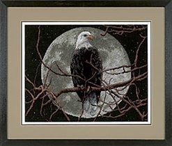 13688 - Eagle in Moonlight